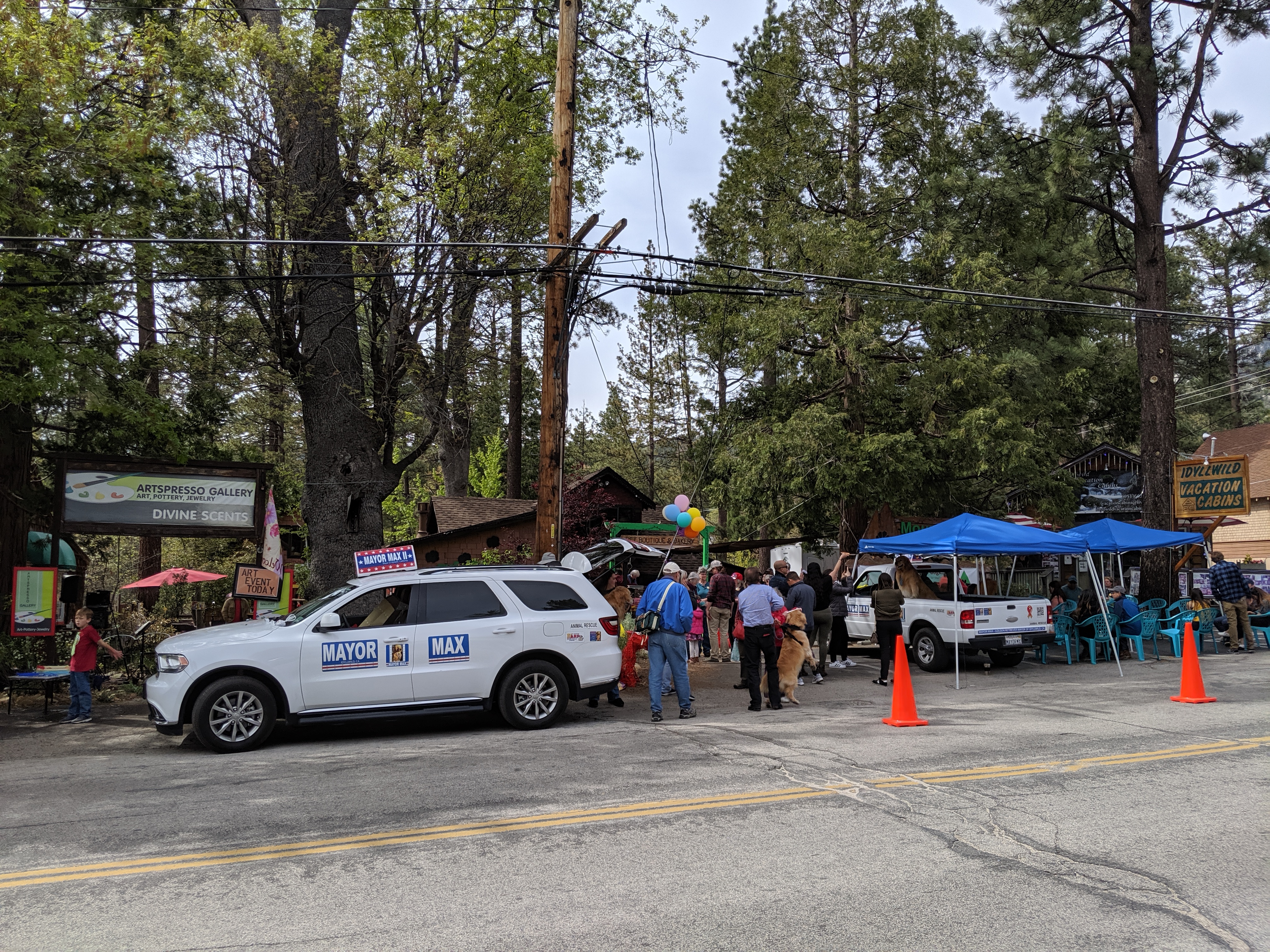 Days 9 and 10: Idle and Wild in Idyllwild