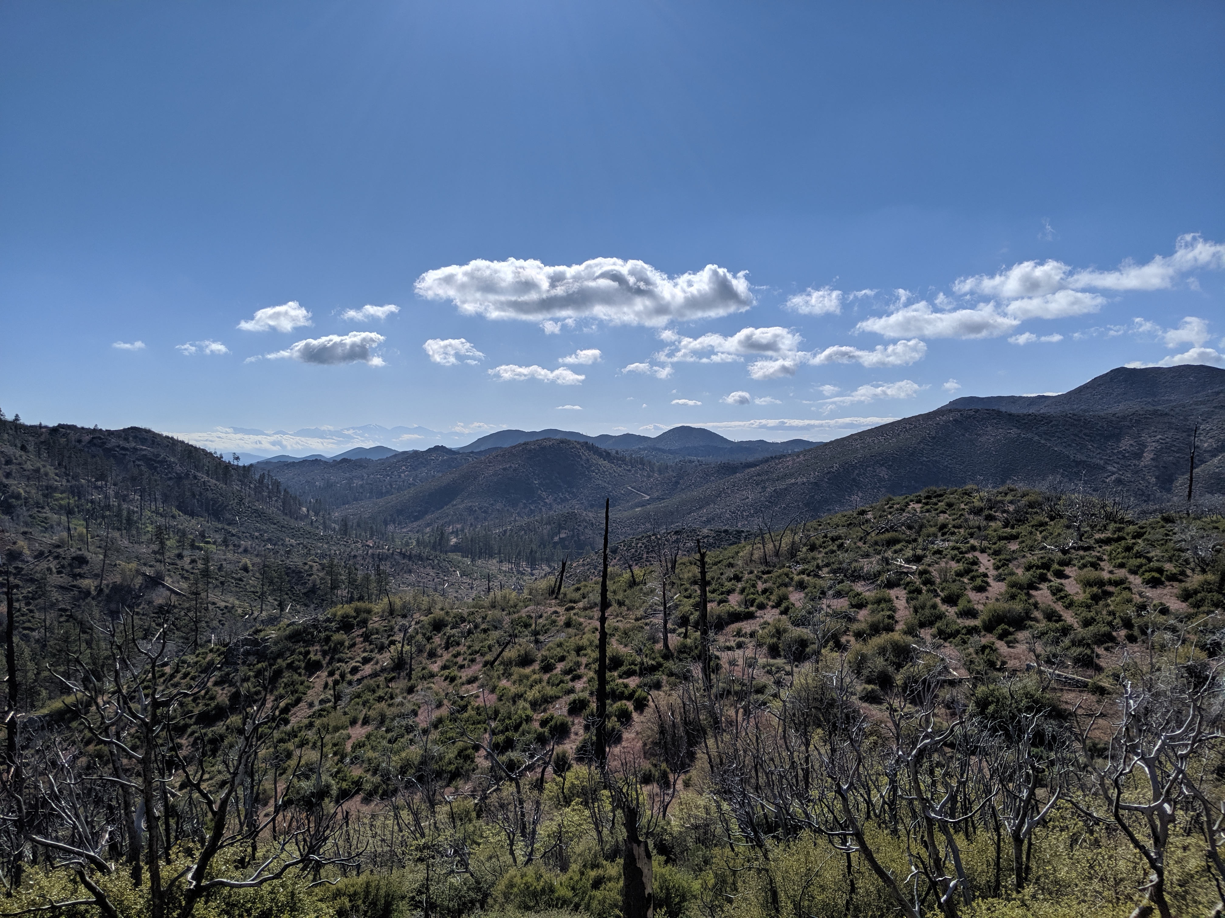 Day 18: Past Big Bear