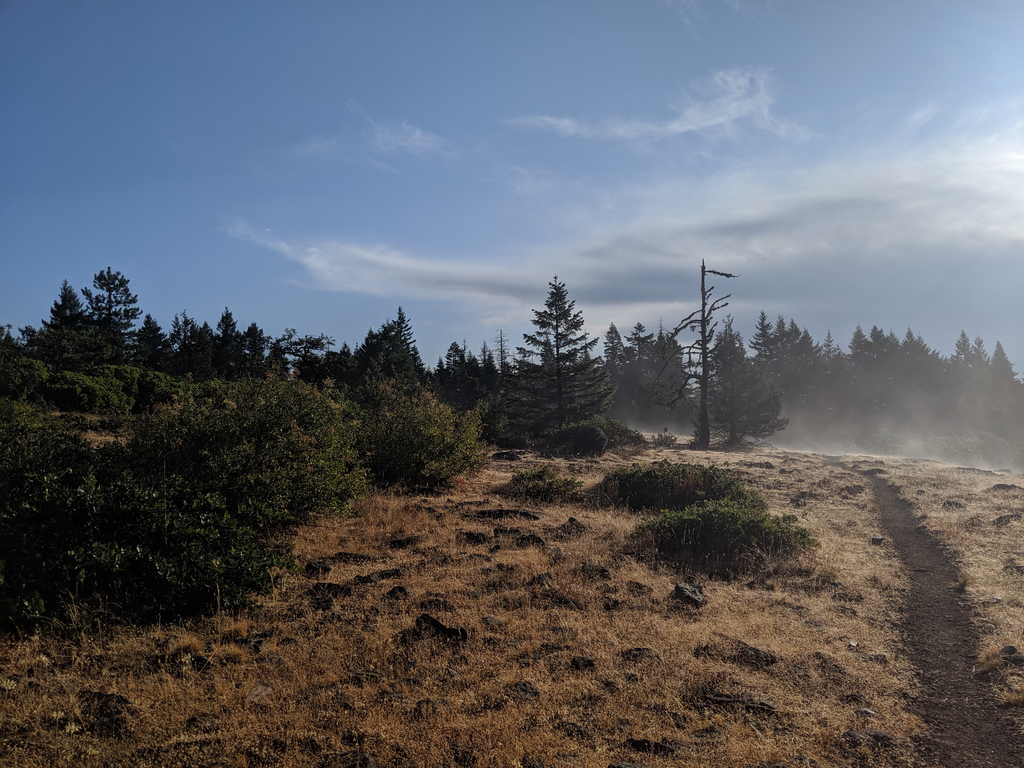 Day 91: Stormed Out to Green Springs