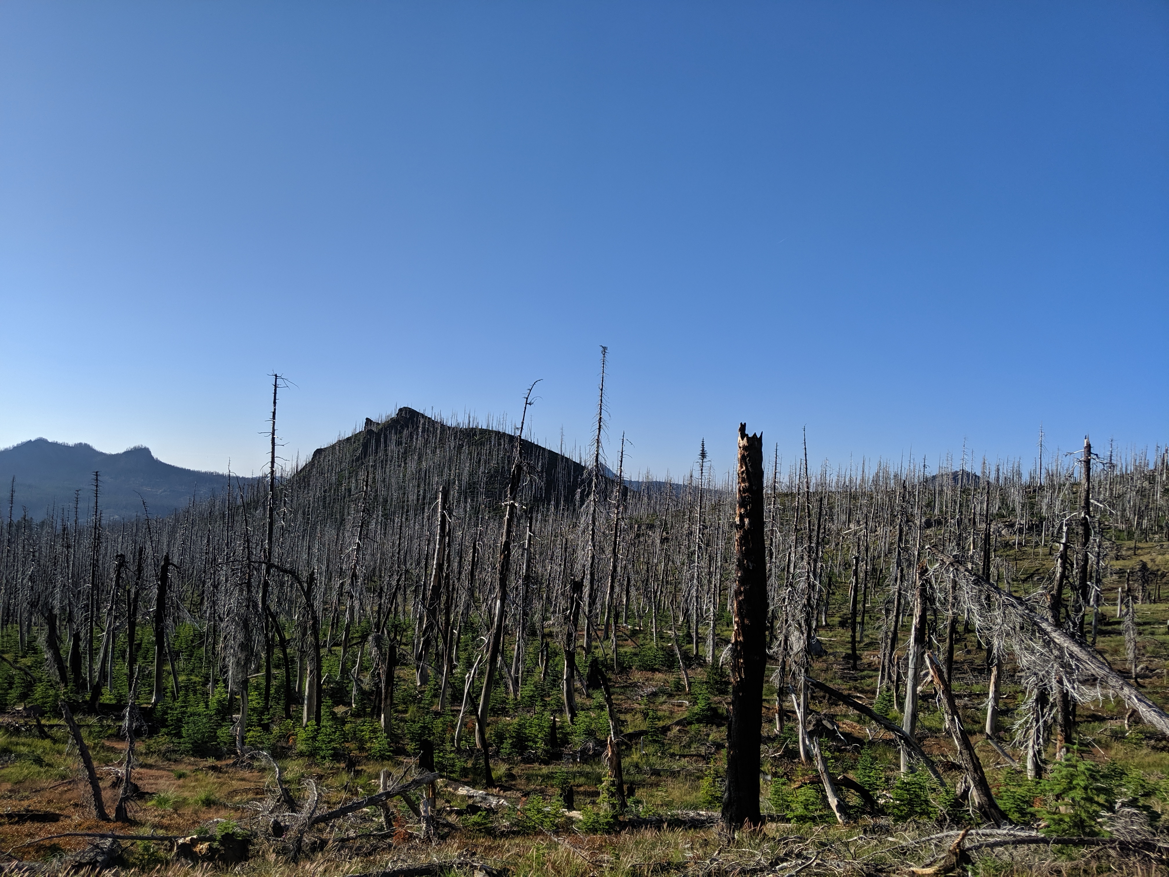Day 94: Before Crater Lake