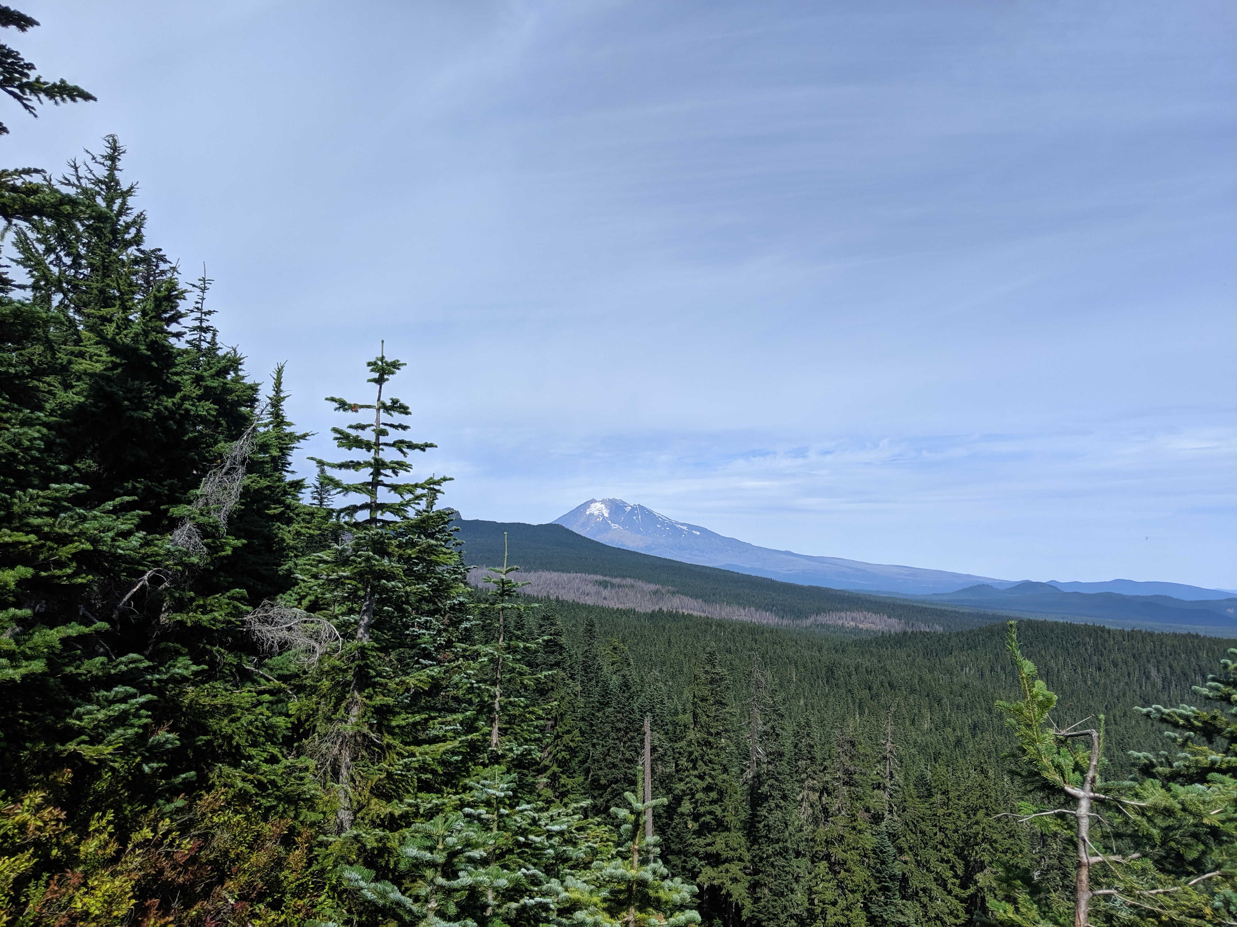 Day 105: Indian Heaven Wilderness (So Much Trail Magic)