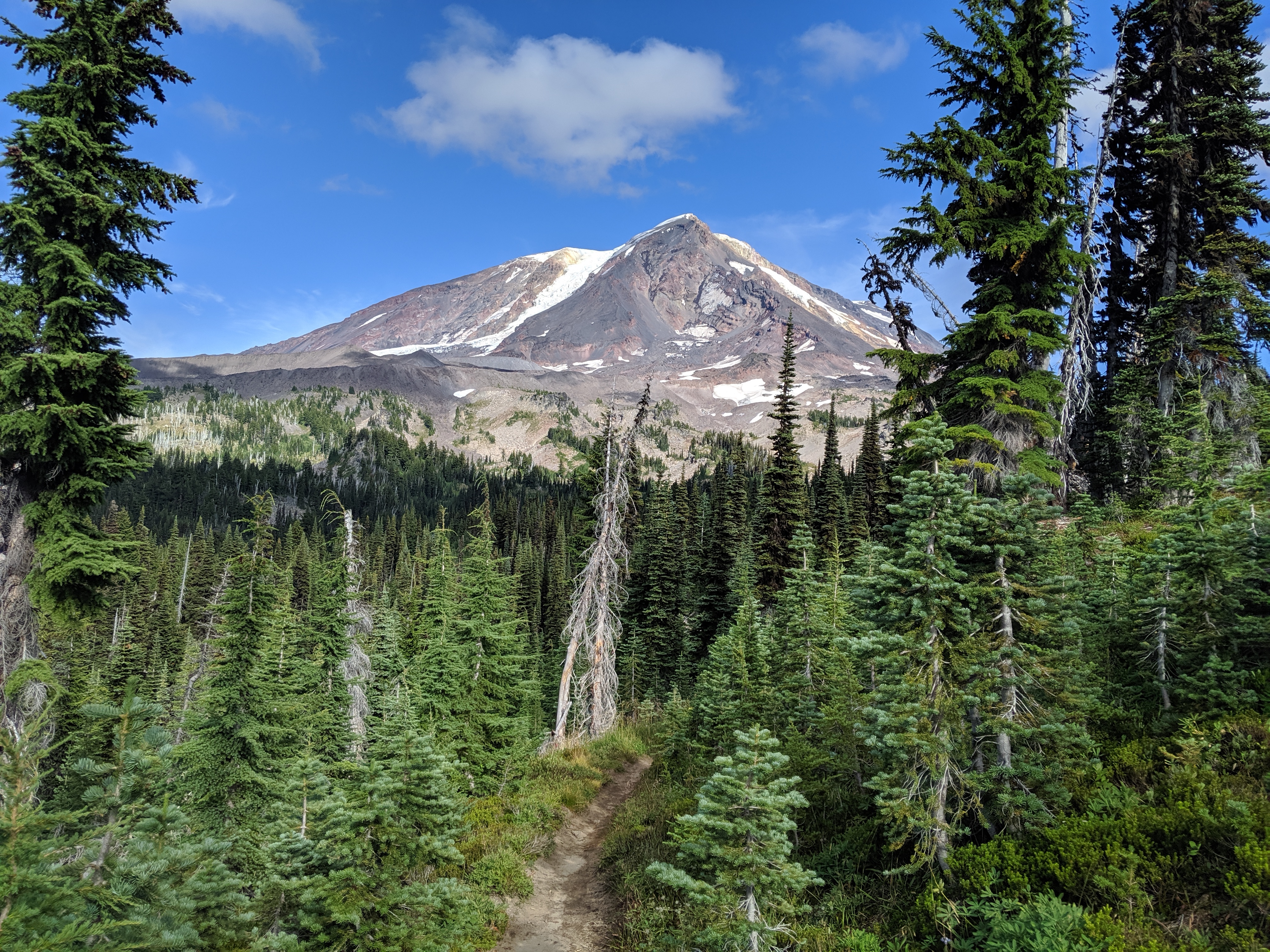 Day 106: Trout Lake and Mt. Adams