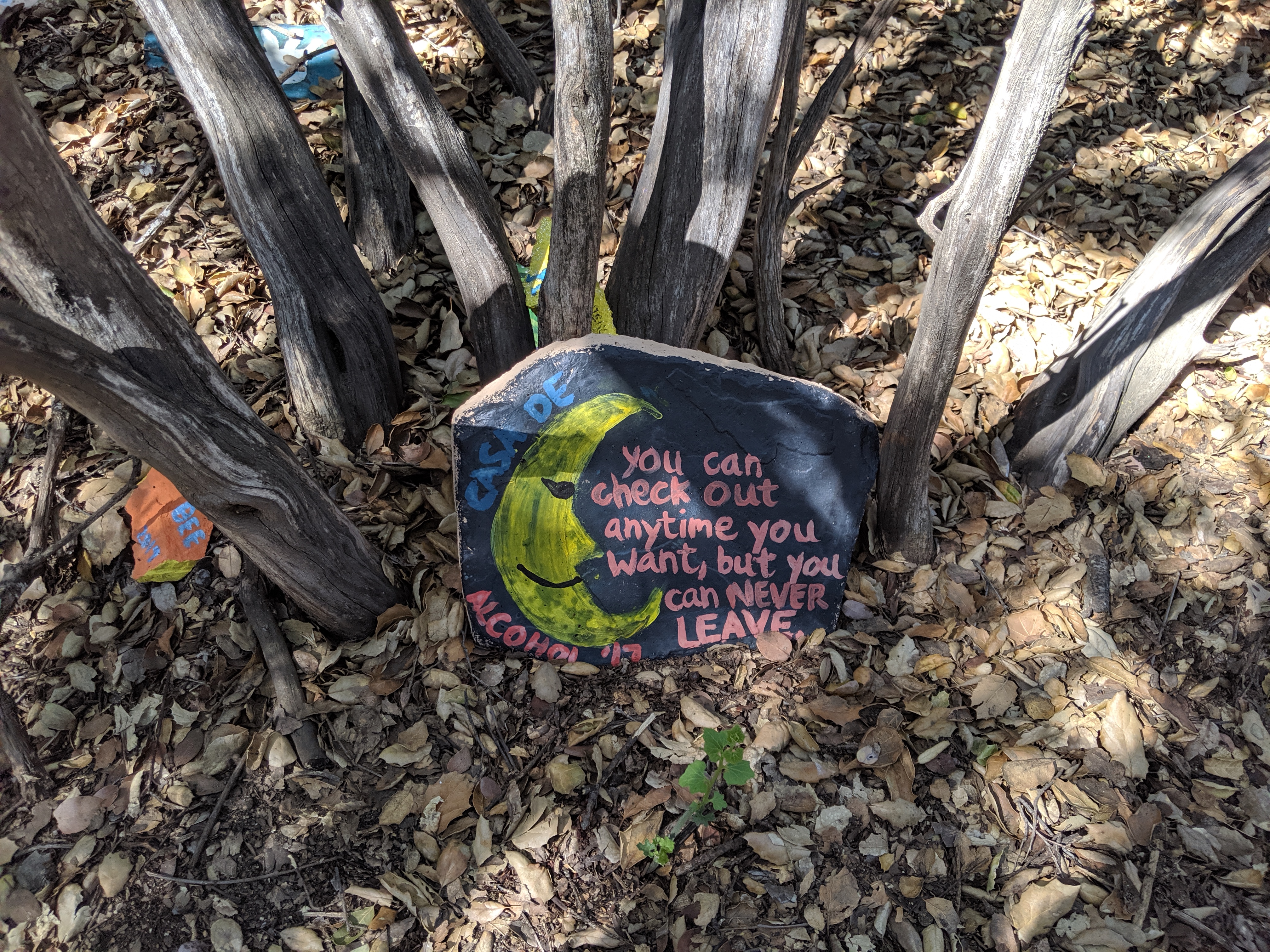 Days 29 and 30: Casa De Luna