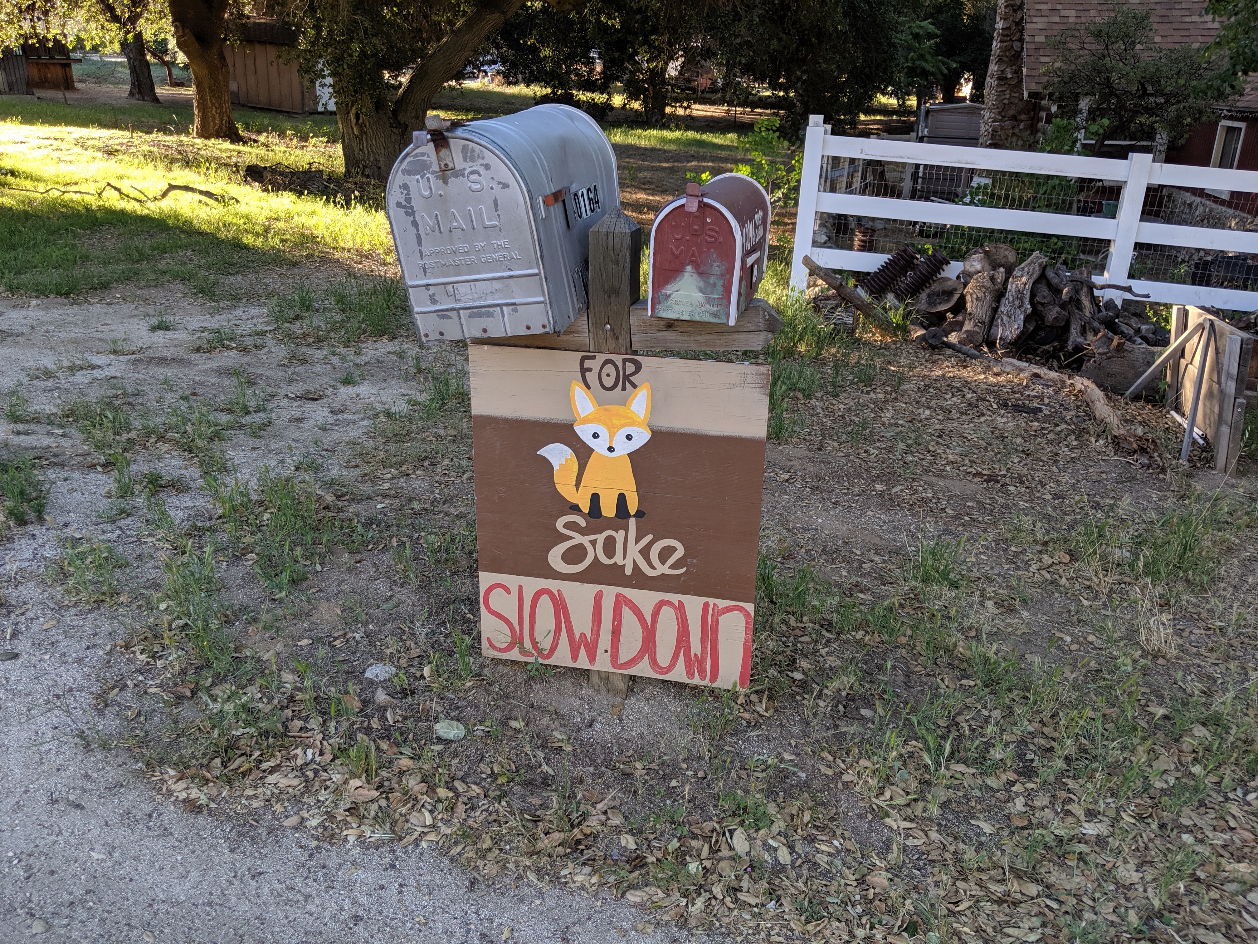 Day 31: The First Month