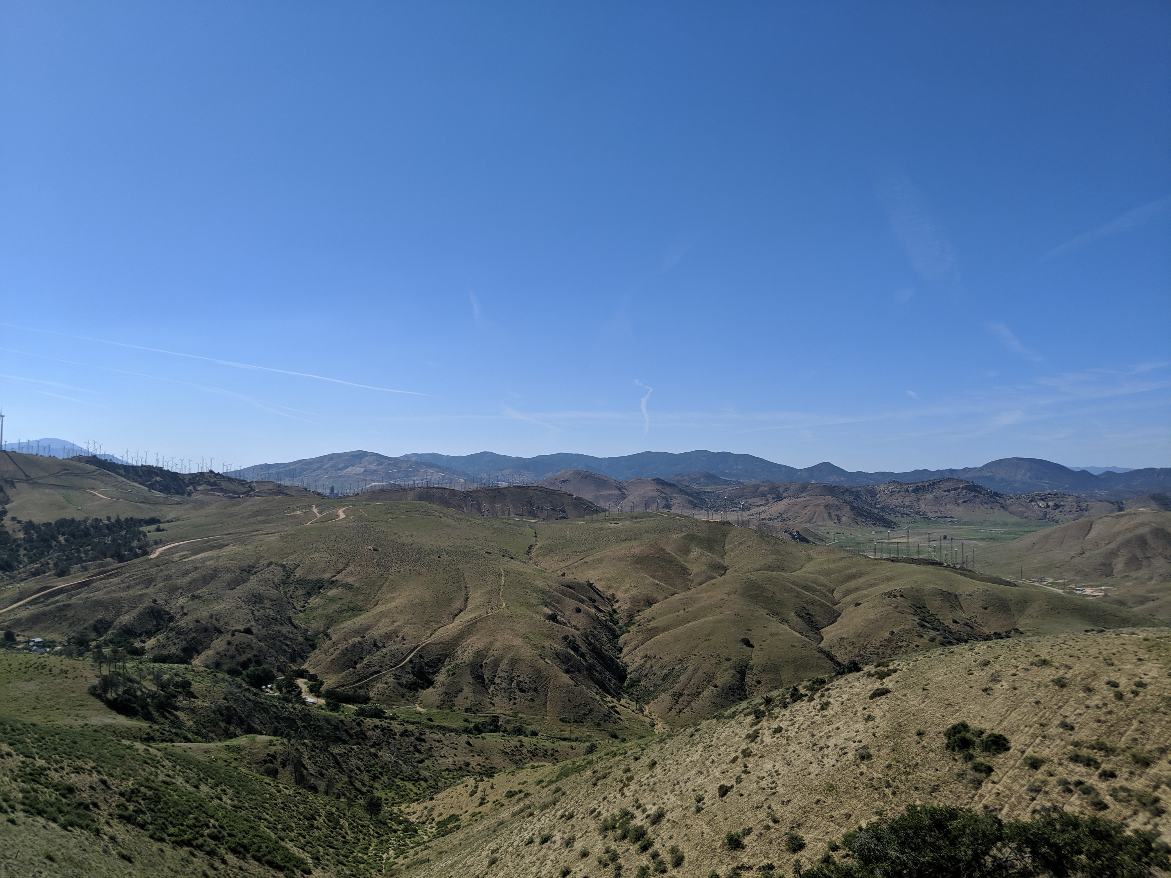 Day 34: Punishing Heat