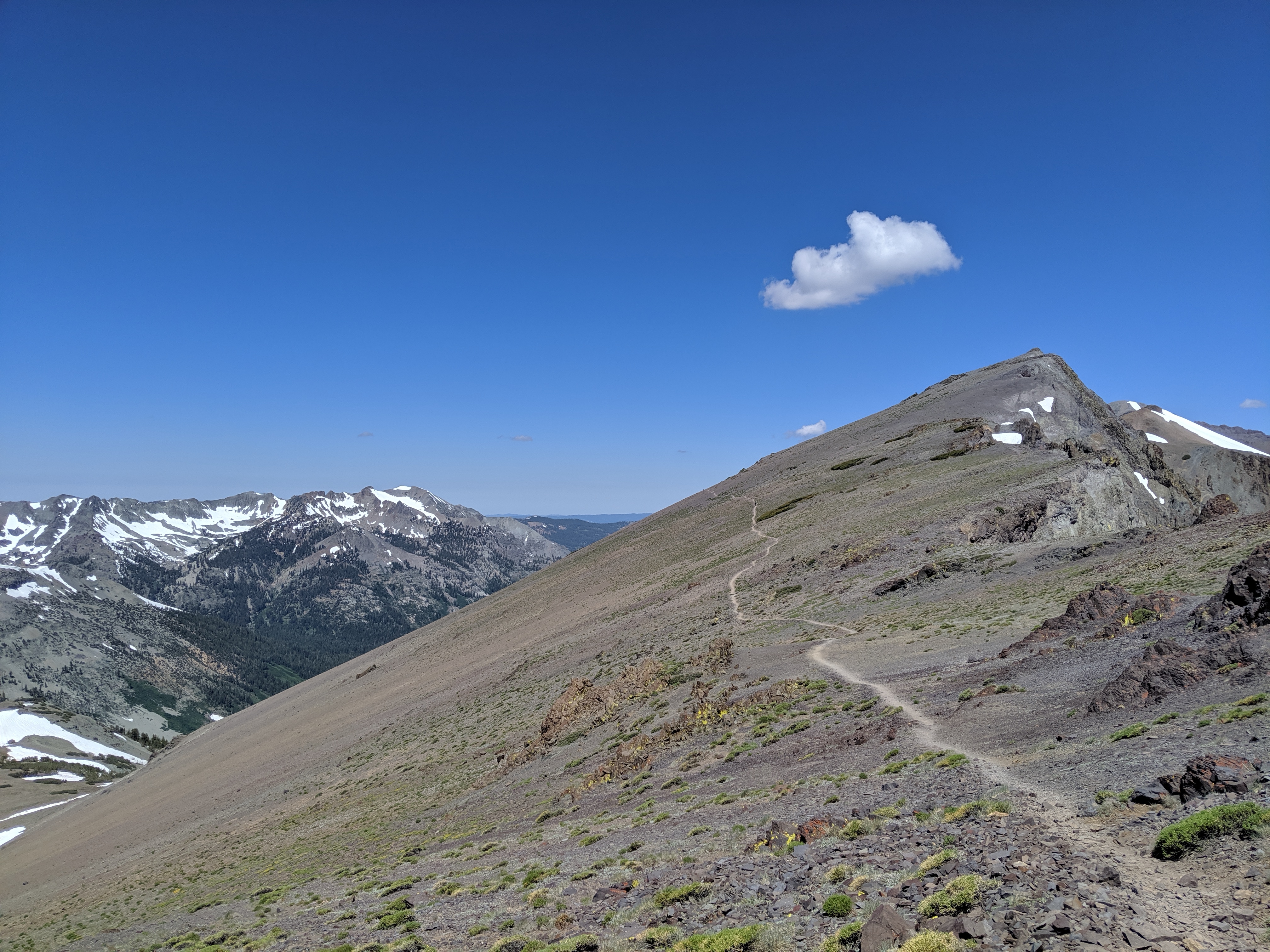 Days 62 - 67: Donahue, Tuolomne Mosquito Hell, Benson, Seavey, Senora, Tahoe