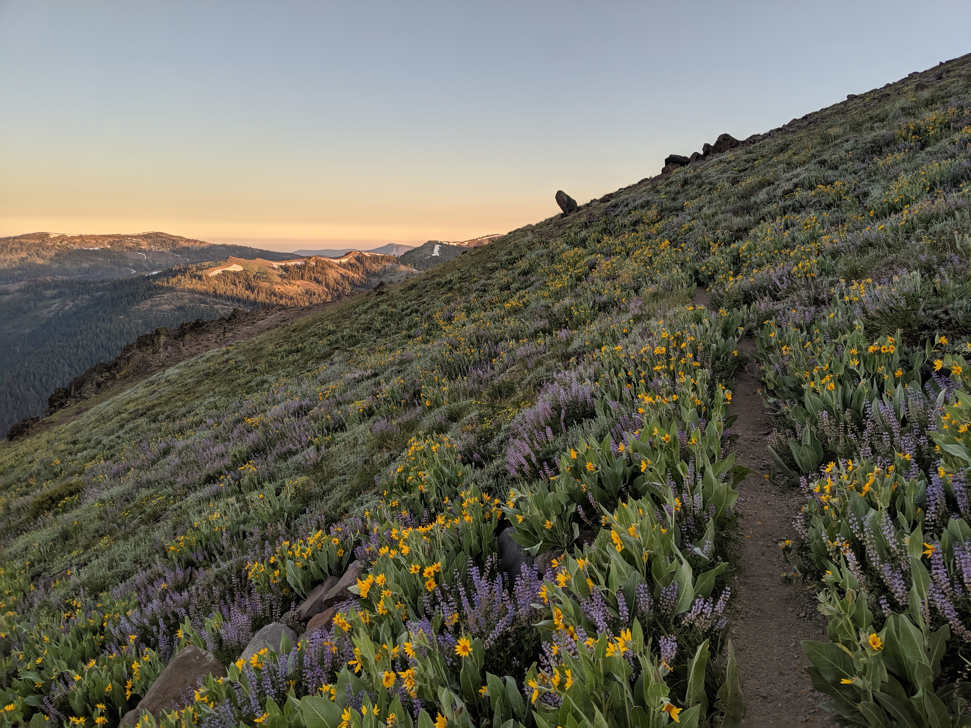 Days 68 - 71: Family and Friends in Tahoe