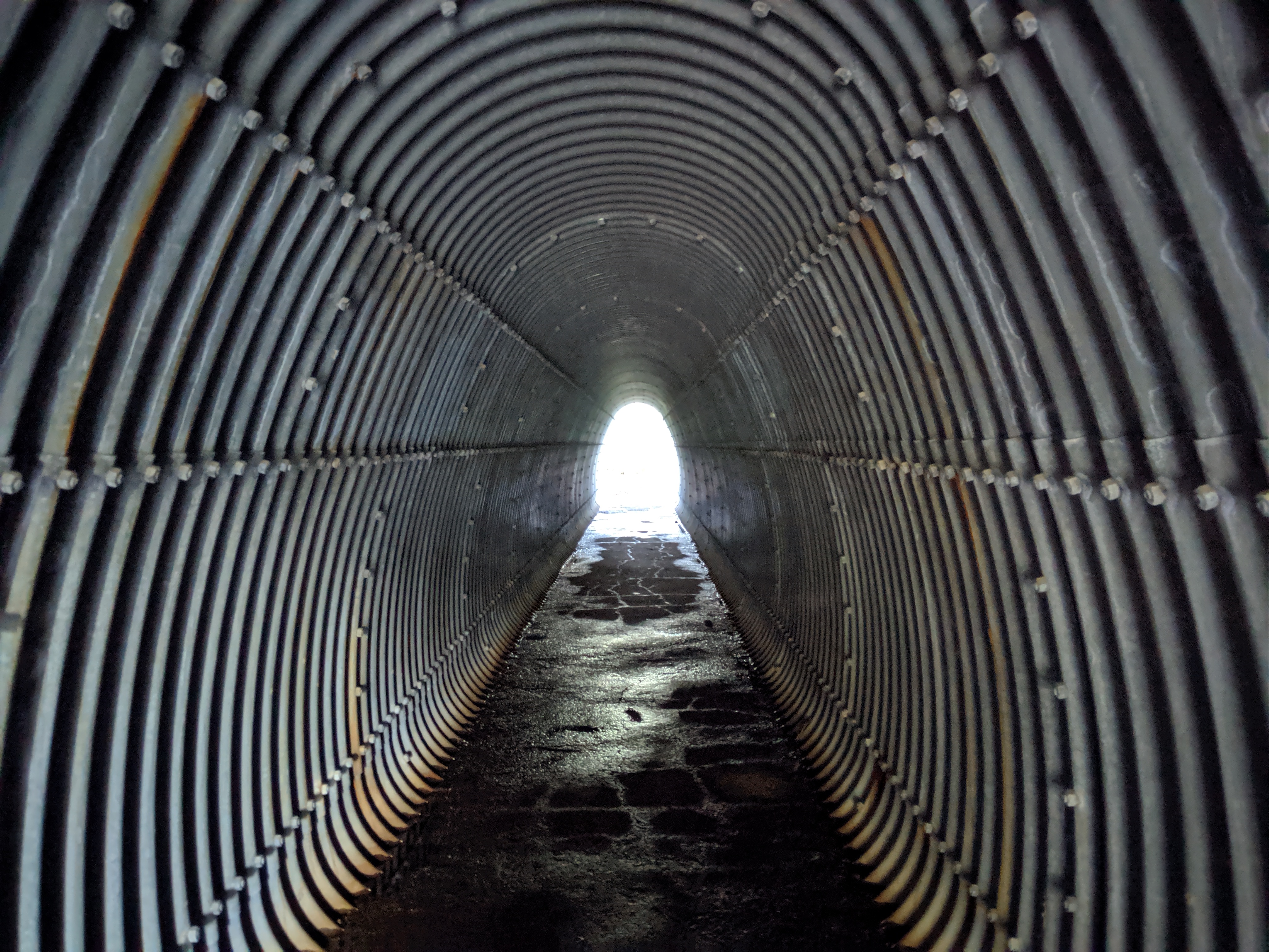 Day 72: Out Of The Snow