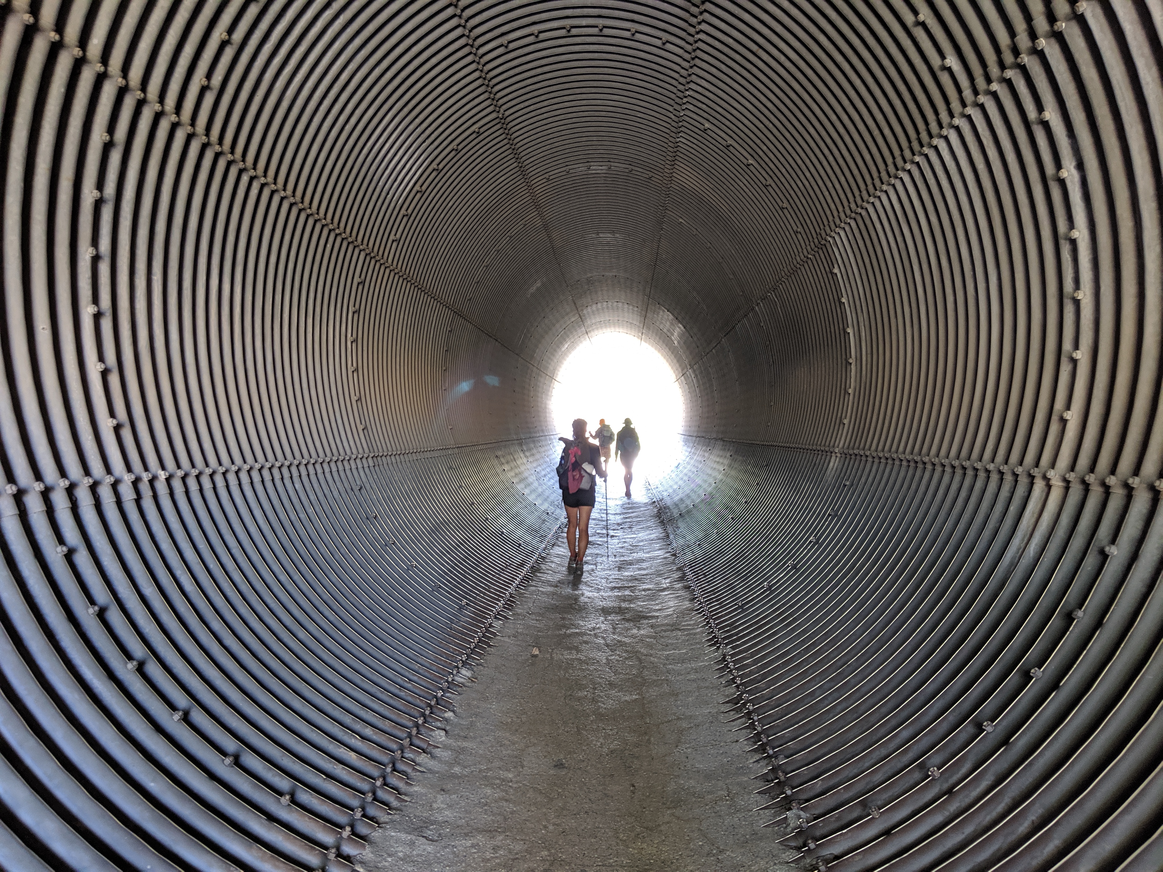 Day 22: Hazy, High, Guffy